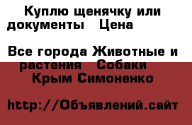 Куплю щенячку или документы › Цена ­ 3 000 - Все города Животные и растения » Собаки   . Крым,Симоненко